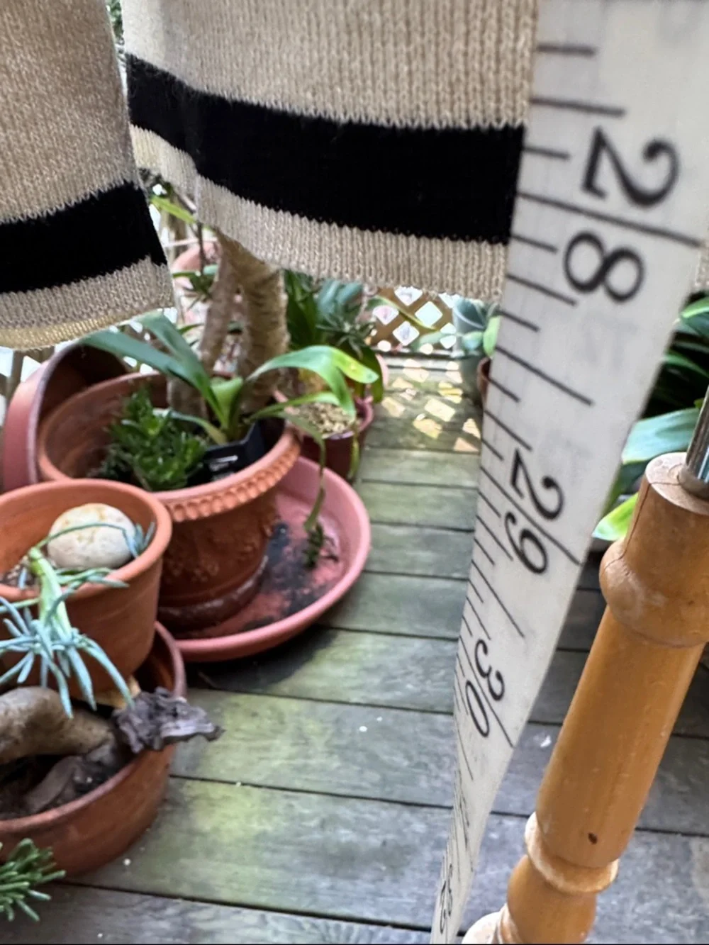 Cream Long-Sleeve Knit Sweater with Black Trim - Women's XL. Hi-Lo. - Picture 4 of 10